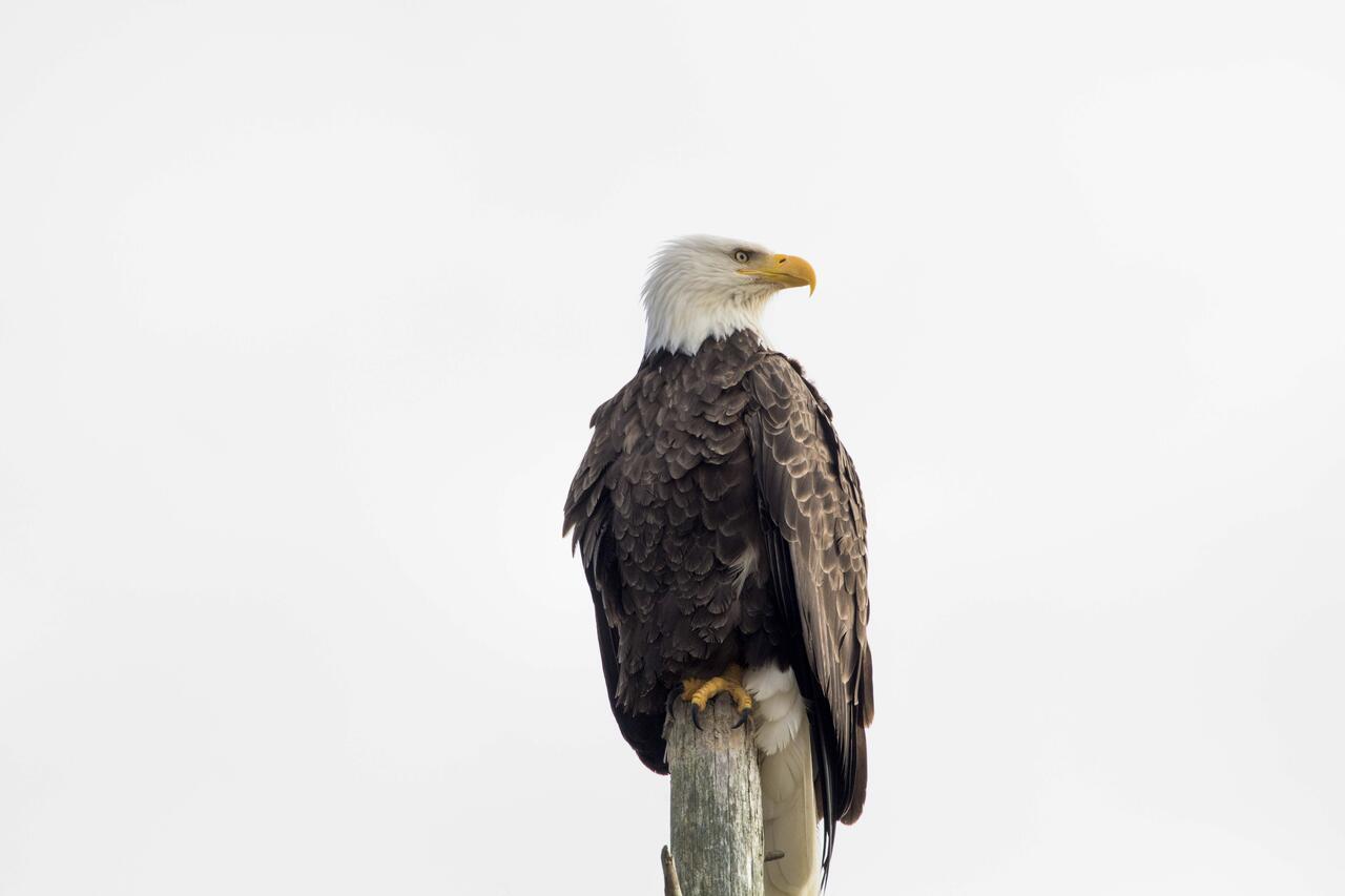 Eagles View Condo In Ocean Shores With 3 Balconies المظهر الخارجي الصورة