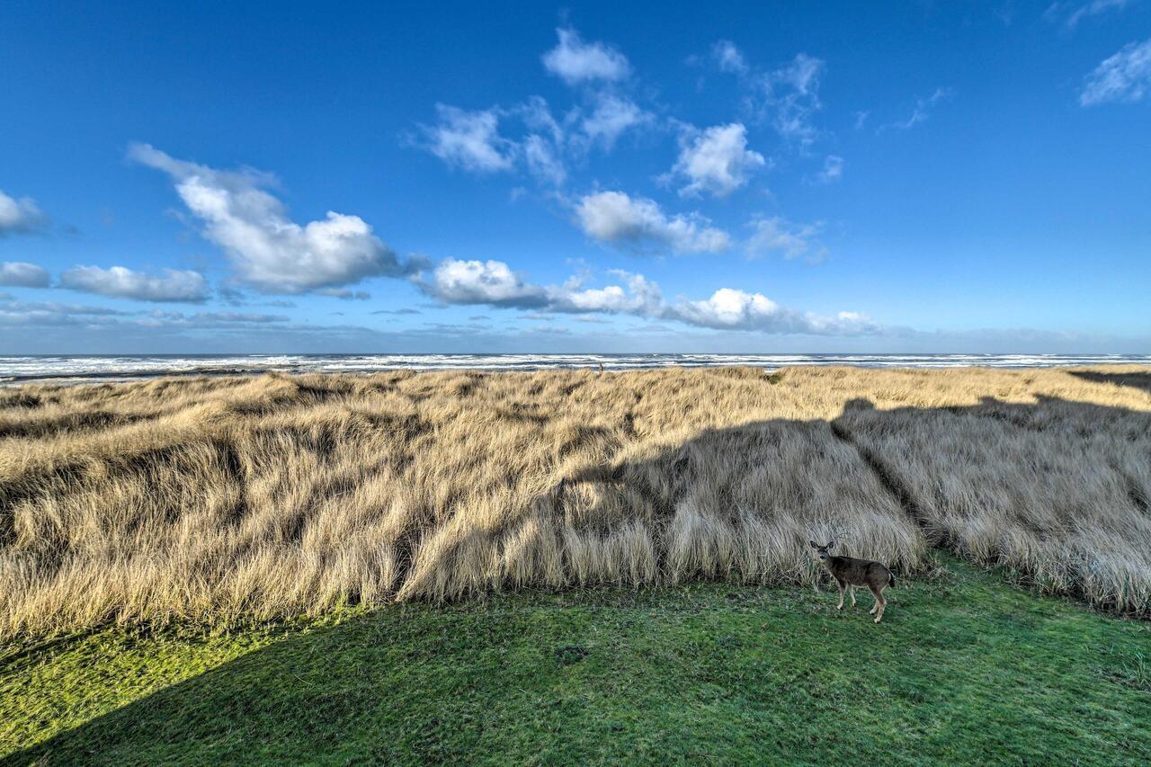 Eagles View Condo In Ocean Shores With 3 Balconies المظهر الخارجي الصورة